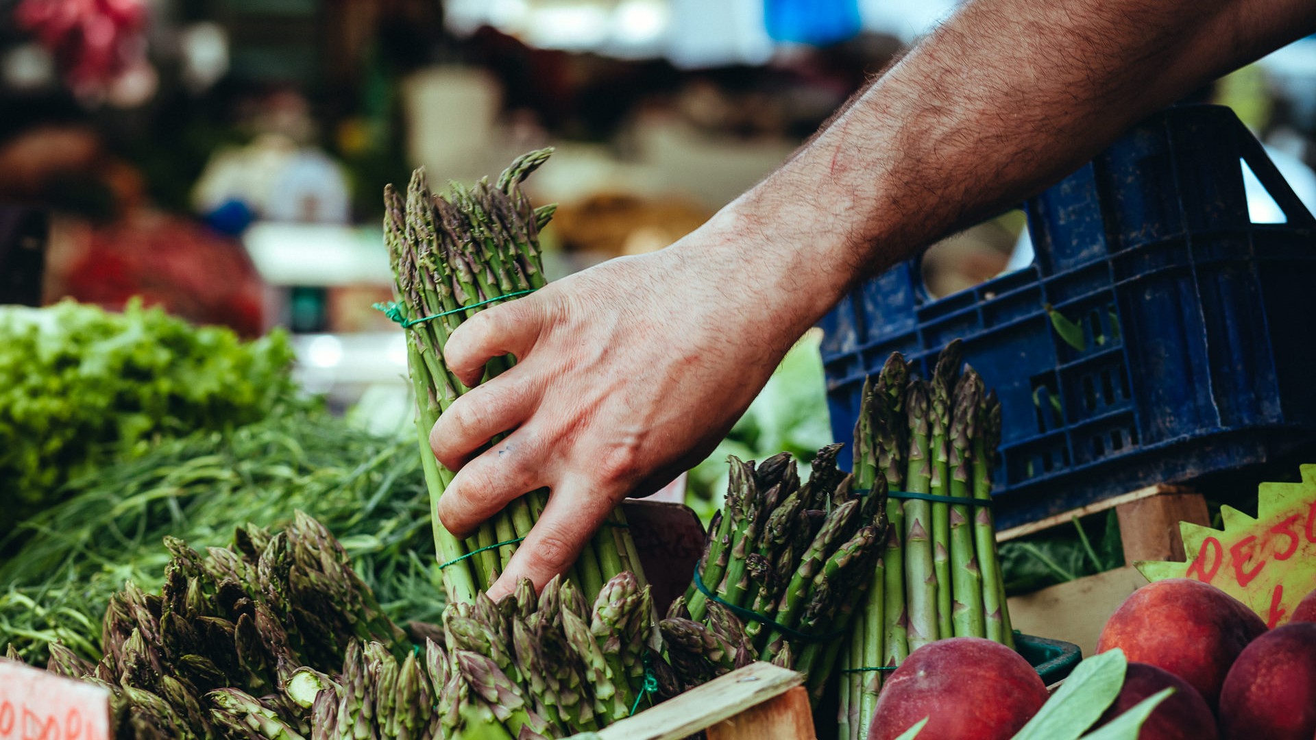 Best Food Markets In Rome 