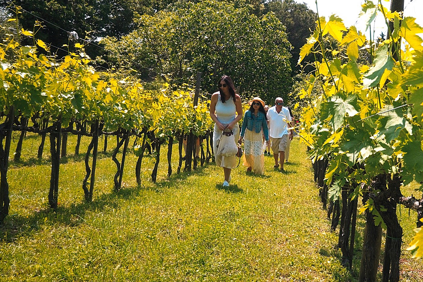 tuscany wine tour